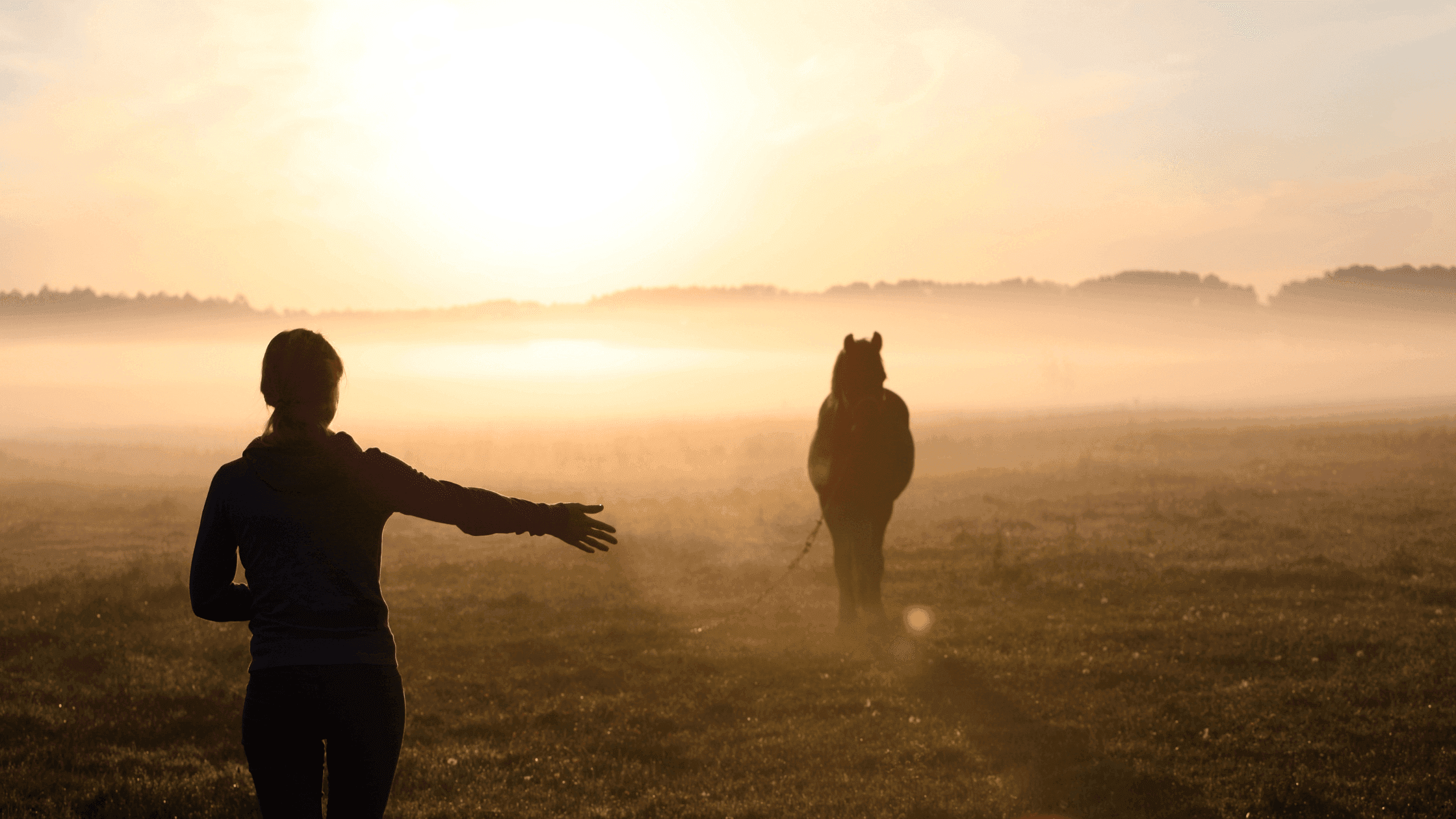 Psychedelics and PTSD